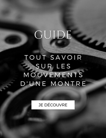 Guide