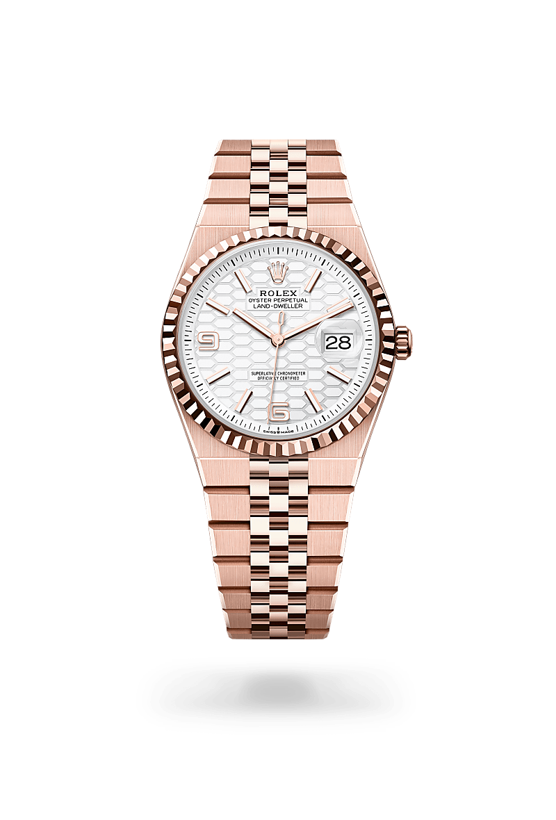 Rolex - Land-Dweller 36 - Oyster, 36 mm, or Everose