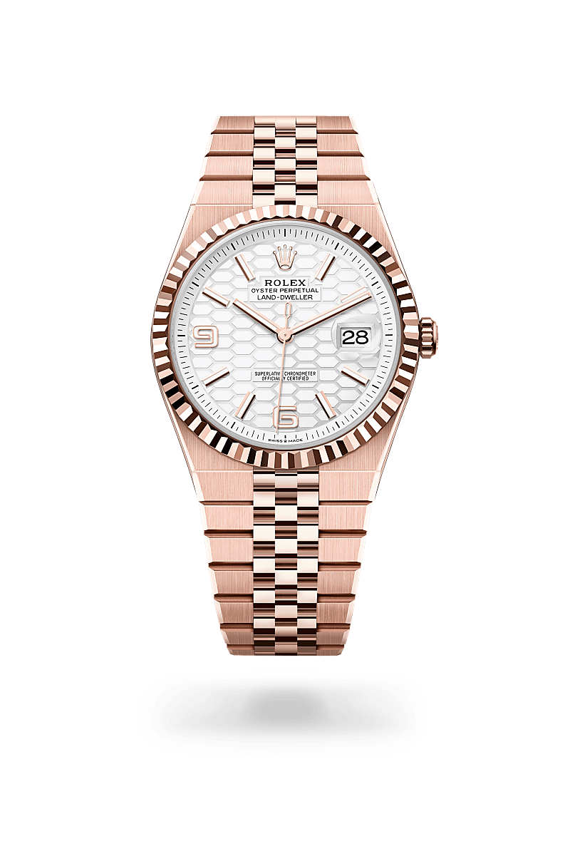 Rolex - Land-Dweller 40 - Oyster, 40 mm, or Everose